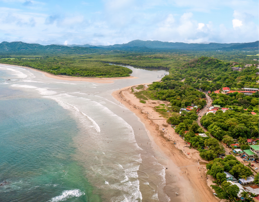 tamarindo