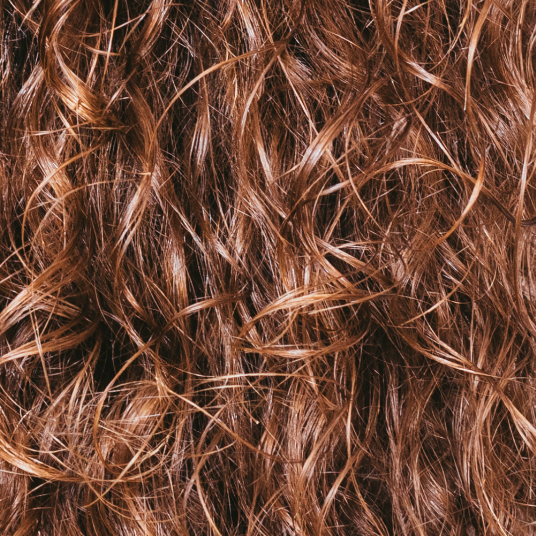 Shampoo Bars and Coloured Hair: What Actually Fades Colour