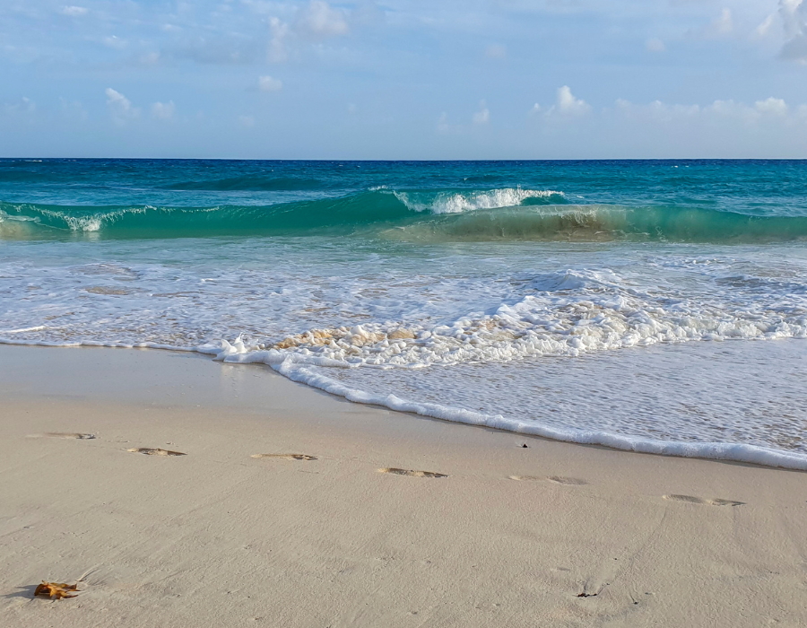 Warm turquoise water and a tropical reef break in the middle of the European winter