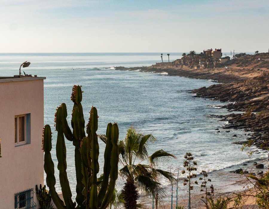 Cactus and palm trees above the bay at Taghazout, Morocco, a top surf spot in March