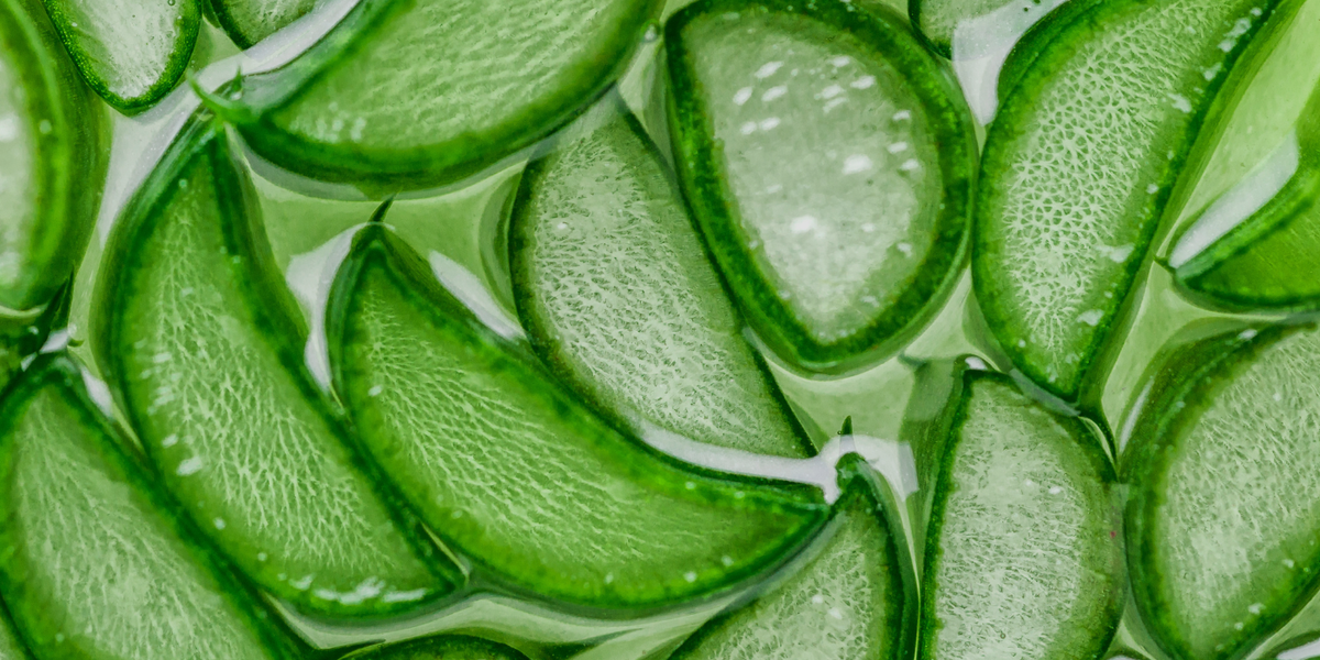 aloe vera slices