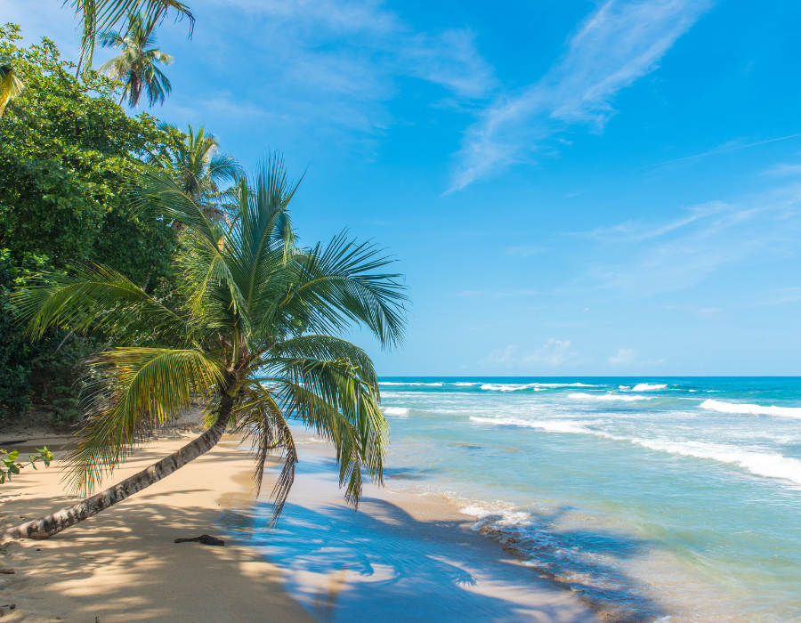beach in costa rica