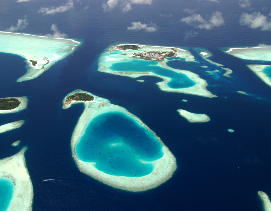 bird view maldives
