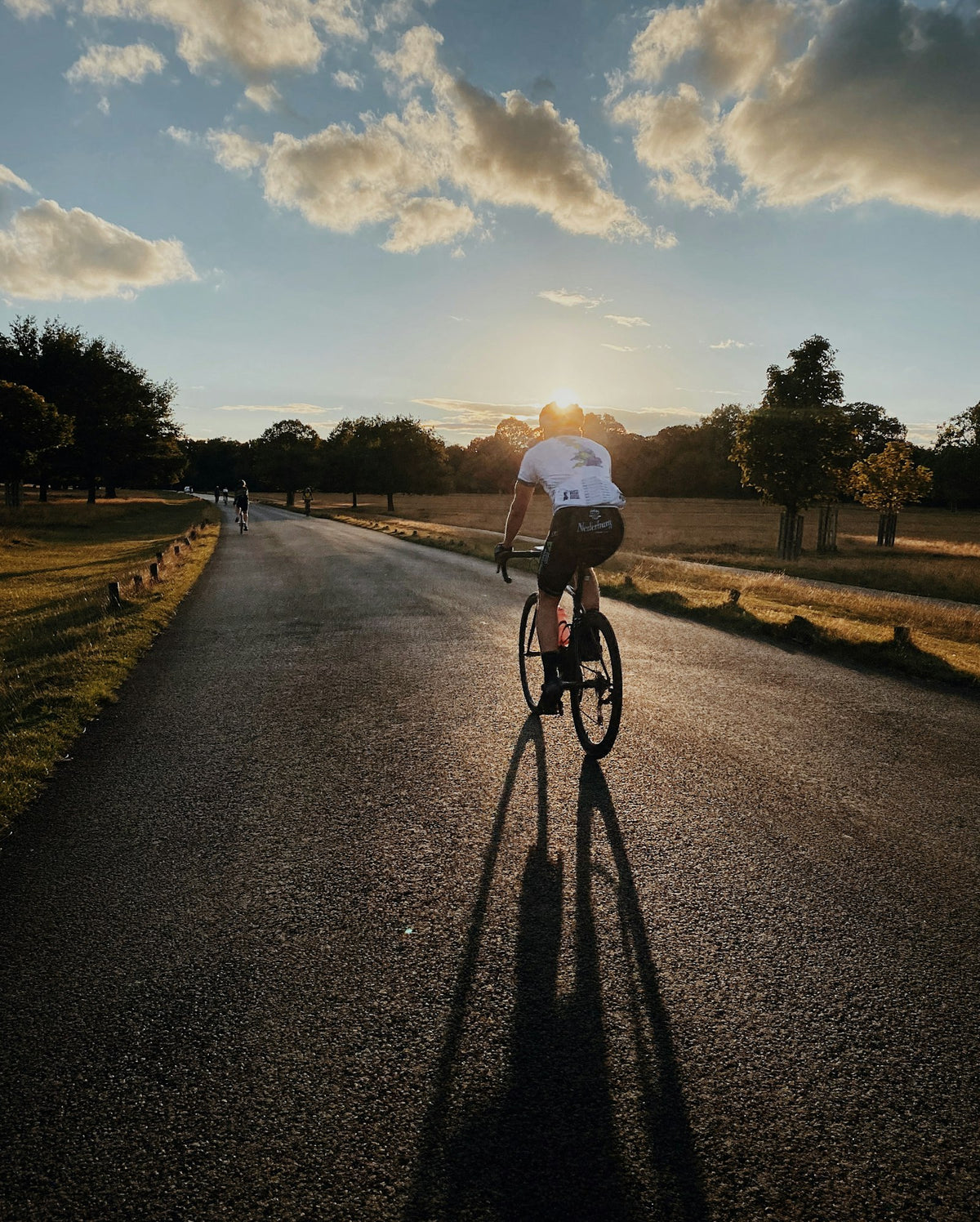 Cyclist on a grey asphalt road