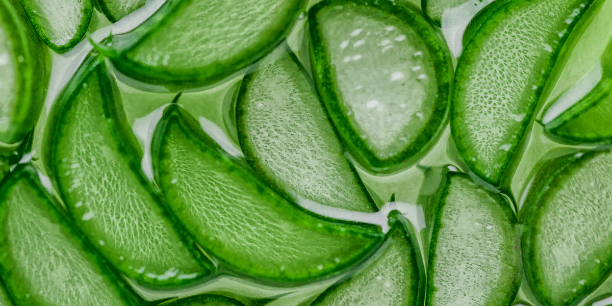 Aloe vera